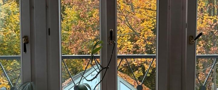 1-Raum-Wohnung inkl. Küche WASAPLATZ DRESDEN STREHLEN - Foto 1