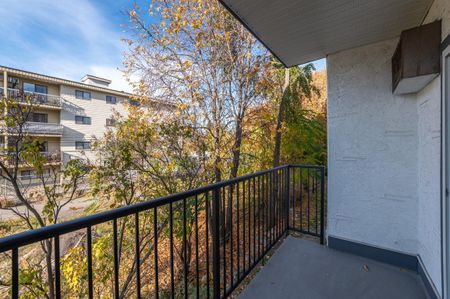 Forestbrook Apartments - Photo 3