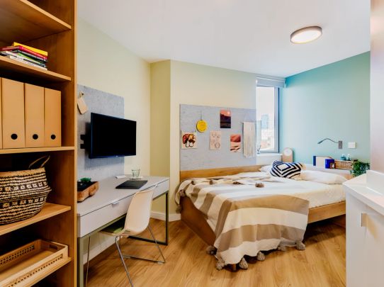 Large Studio - Photo 1