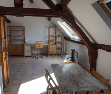 Location Appartement 1 pièce 25m² SENS 89100 - Photo 5