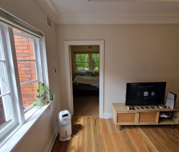 Paddington - Photo 3