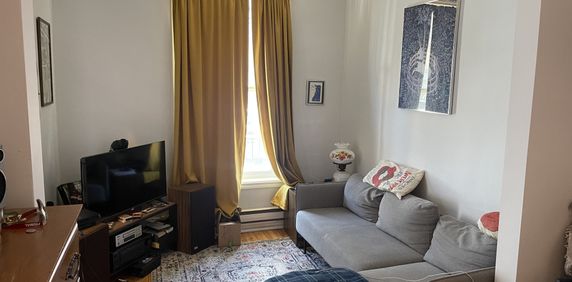 Petite Italie - 3 1/2 Avec Cour Arrière - Photo 2