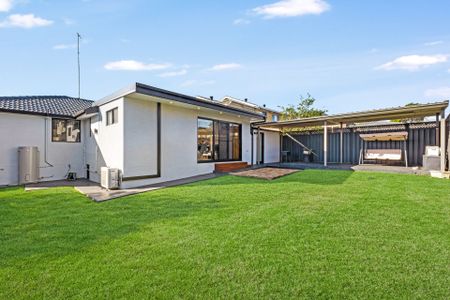 Renovated, Sun-Lit and Spacious Three Bedroom Home - Photo 5