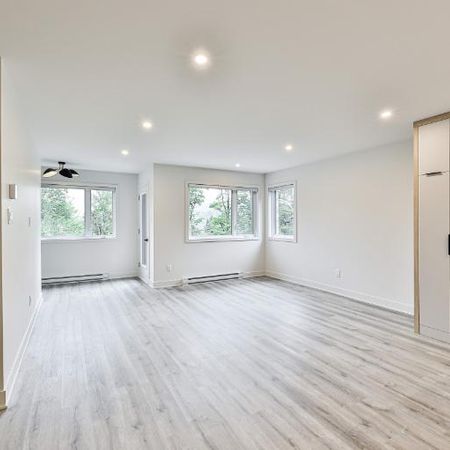 3 CH - 1 SDB - Sainte-Agathe-des-Monts - $1,800 /mo - Photo 4