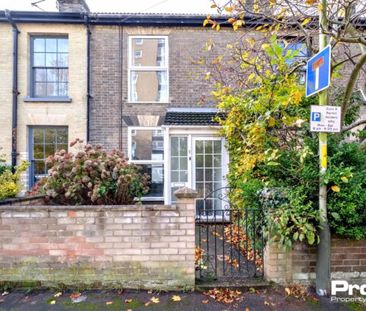 Trory Street, Norwich, NR2 2RH - Photo 4