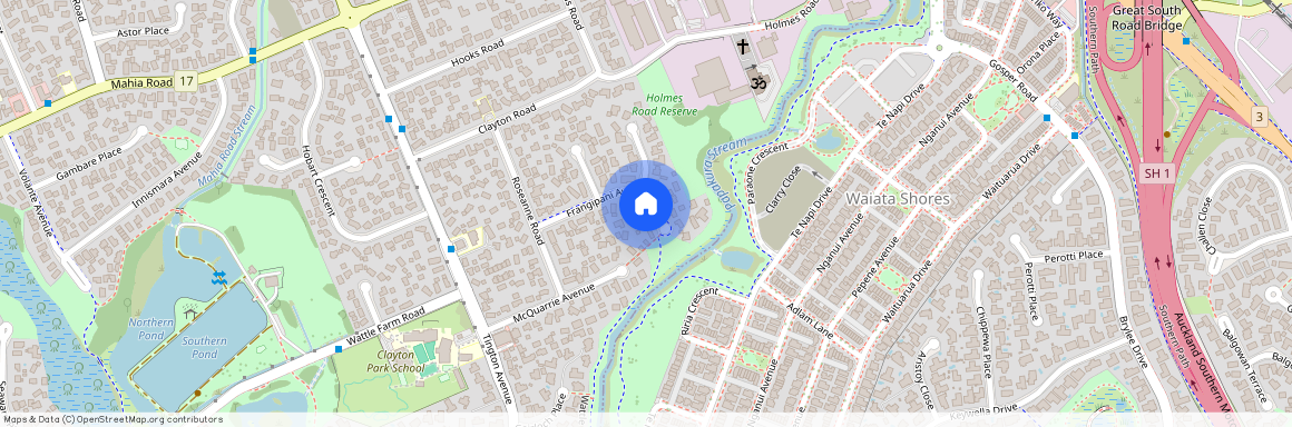 23 Frangipani avenue, Manurewa, Manukau City