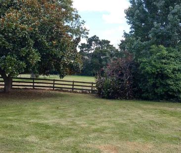 Pokeno 4 bedroom Lifestyle on 2.5 acres - Photo 4