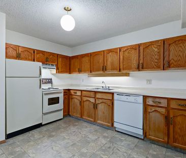 Renovated Suite - 1 Bedroom - Photo 4