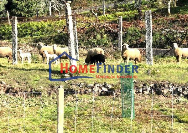 Moradia T3 em Viana do Castelo