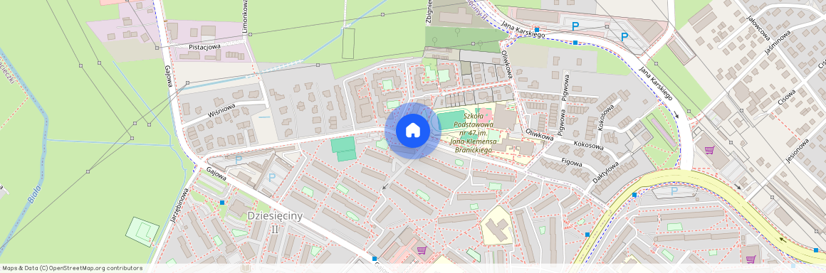 ul. Palmowa, Dziesięciny II, Białystok, podlaskie