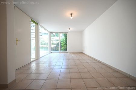 Wohnen bei der Alten Donau: sonniges Einfamilienhaus - 4 Schlafzimmer - Foto 4