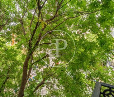 Flat for rent in Recoletos (Madrid) - Foto 3
