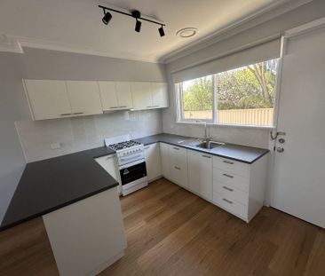 Renovated Single Bedroom Unit - Photo 3