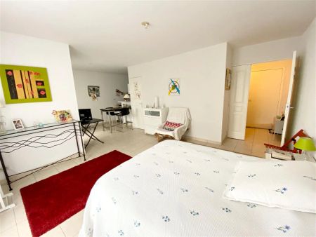 Location appartement 1 pièce - 37.88m² à Tours (37100) - Photo 5