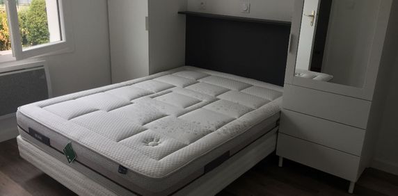 Location Appartement 1 pièce 20m² - Photo 2