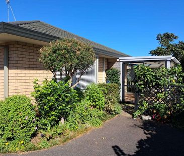 4B Gordet Drive, Katikati - Photo 3