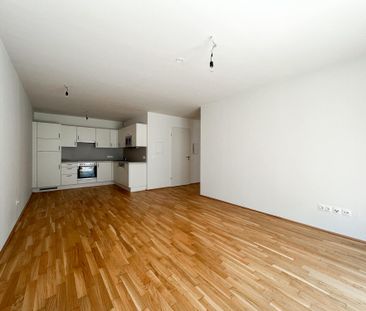 3-Zimmerwohnung im Viola Park | Erdgeschoss mit Eigengarten - Foto 4