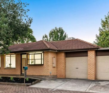 1A Fifth Avenue, Trinity Gardens SA 5068 - Photo 2