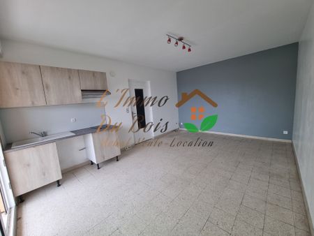 Location Appartement 3 pièces 57m² ROUSSILLON 38150 - Photo 4