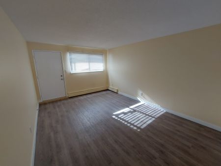 Bright 2 Bedroom Unit By Red Deer College!! - Photo 2