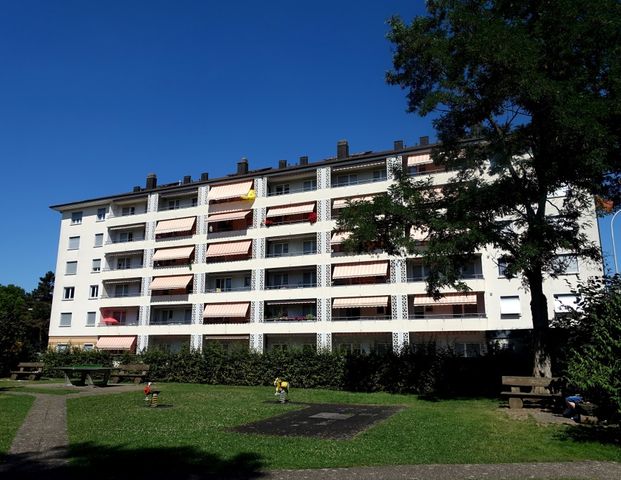 Appartement de 1.5 pièce à Delémont - Photo 1