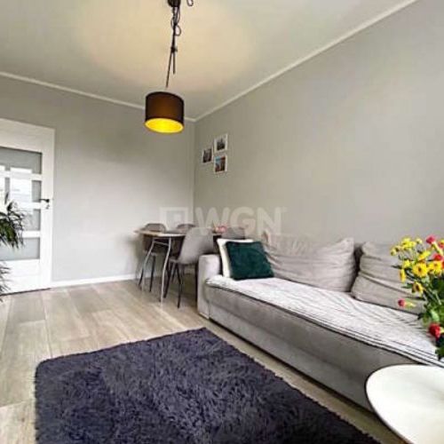 Apartament na wynajem Szczecin - Zdjęcie 1