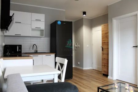 OFERTA SPECJALNA - Dwupokojowy apartament, balkon OD LIPCA - Photo 4