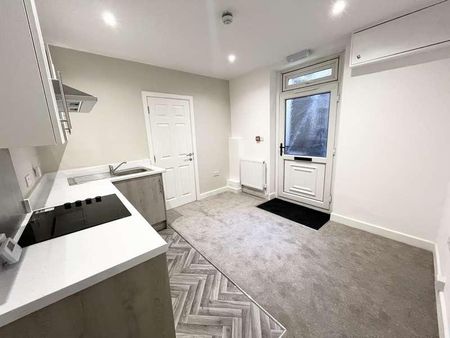 Carlton Terrace, Swansea, SA1 - Photo 4