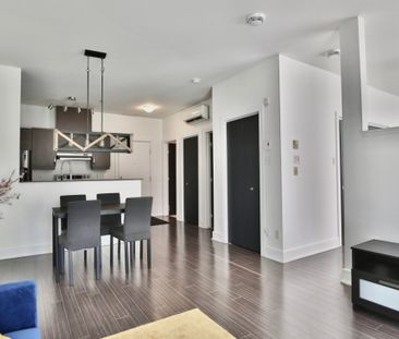 Appartement à louer - Longueuil (Saint-Hubert) (Parc de la Cité) Ap... - Photo 3