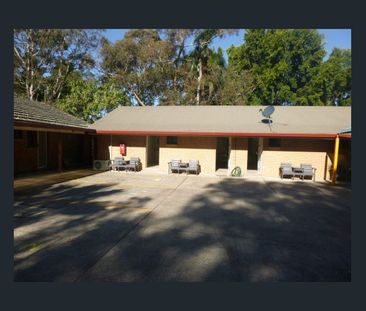 ONE BEDROOM APARTMENT - Photo 2