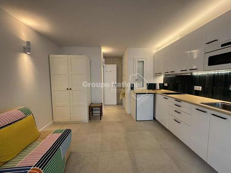 Location Appartement 1 pièce 20m² - Photo 4
