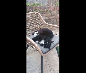 2 Bed Terraced House, Fairfield Place, BS3 - Photo 2