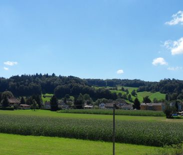 Herzige und heimelige Dachwohnung mit toller Aussicht ins Grüne - Photo 3