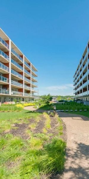 Condo Luminia 5 1/2, une rareté !!! - Photo 1
