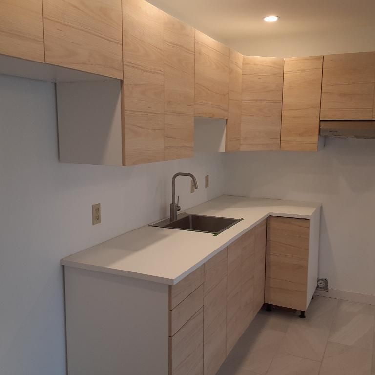 Saint-Rémi, 3 1/2 rénové à louer - Photo 1