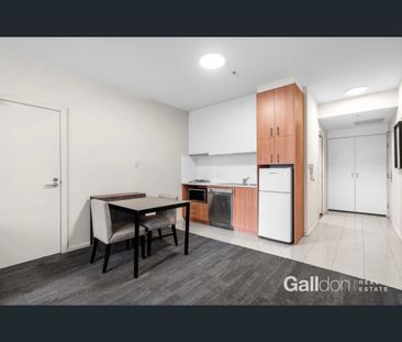 920/250 Elizabeth Street, Melbourne, Vic 3000 - Photo 4