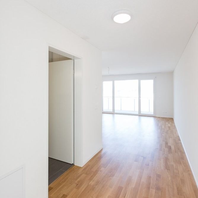 1½-Zimmerwohnung im Parterre mit Waschturm / 37,4 m2 - Photo 1
