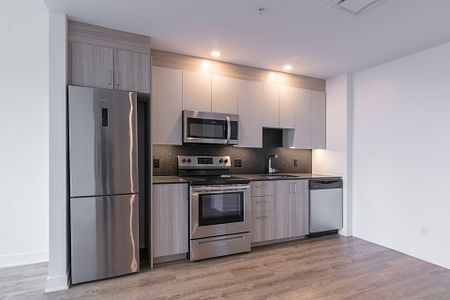 Condo for rent, Montréal (Le Plateau-Mont-Royal) - Photo 3