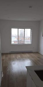 1 CH - 1 SDB - Montréal - $1,190 /mo - Photo 3
