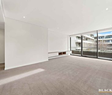 Luxurious Apartment Living - Photo 3