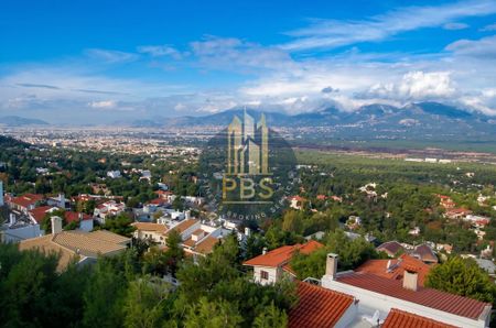 Μονοκατοικία 508 τ.μ. προς ενοικίαση - Photo 3