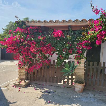 Estudio de alquiler en Carril de Veron, 23, Roche - Photo 1