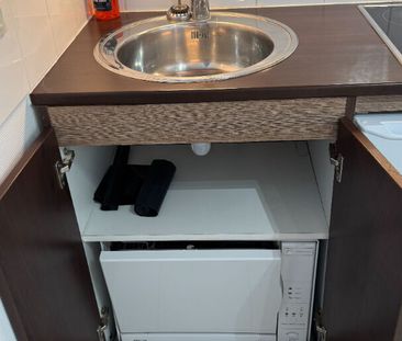 HAUT d'IDRON, Au Calme, T1 BIS Meublé en Résidence récente avec cli... - Photo 6