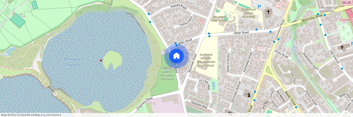 189 Wallace Road, Mangere Bridge, Manukau City