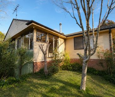 Charming Cottage Living in the Heart of Wentworth Falls! - Photo 3