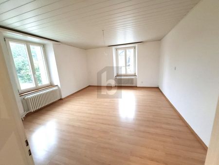 SPACIEUX, EN PLEINE NATURE - Photo 3