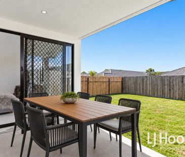 Modern Three Bedroom Duplex - Spacious Back Yard & Garden Shed - Photo 5