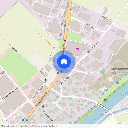 Grünmatt 1, 6032 Emmen