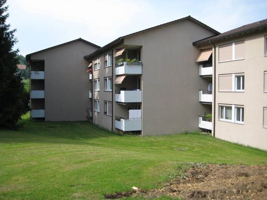 Wir suchen genau Sie - Foto 1