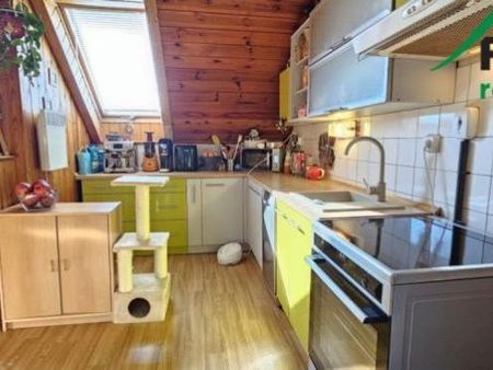 Pronájem bytu 2+1 48 m2 - Fotografie 4